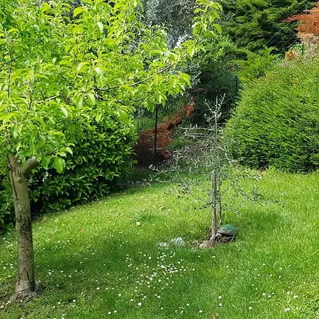 Iseolakerental - La Collina Di