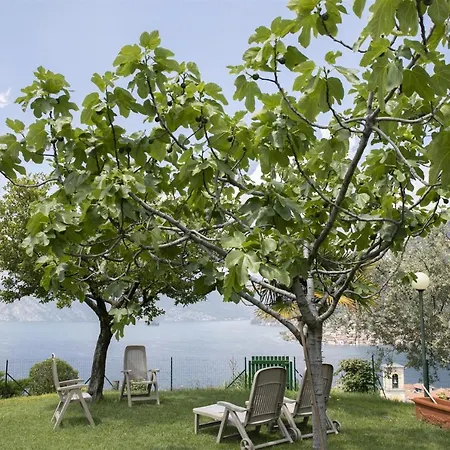 Apartment Iseolakerental - La Collina Di
